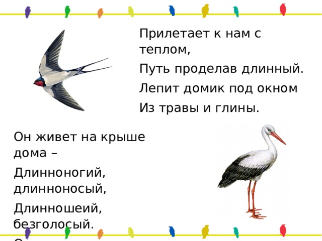 Прилетает к нам с теплом, Путь проделав длинный. Лепит домик под окном Из травы и глины. Он живет на крыше дома – Длинноногий, длинноносый, Длинношеий, безголосый. Он летает на охоту За лягушками к болоту. 