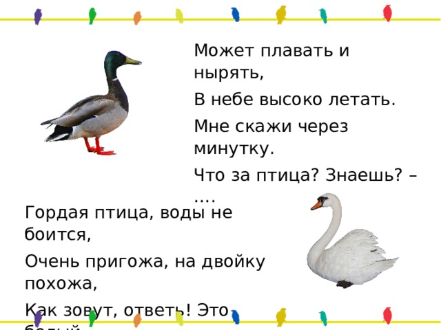 Может плавать и нырять, В небе высоко летать. Мне скажи через минутку. Что за птица? Знаешь? – …. Гордая птица, воды не боится, Очень пригожа, на двойку похожа, Как зовут, ответь! Это белый … 