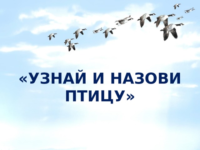 «УЗНАЙ И НАЗОВИ ПТИЦУ» 