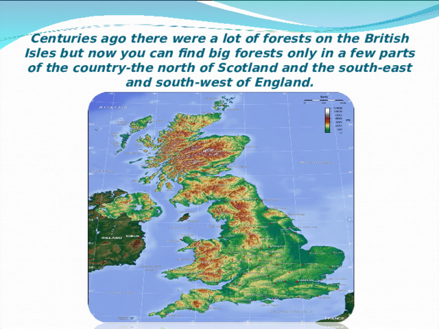 Особенности рельефа общий характер поверхности великобритании. Рельеф Великобритании кратко. На что похож остров Великобритания. Flora and fauna of the British Isles.