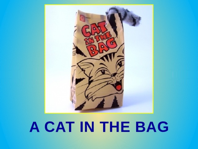 A CAT IN THE BAG 