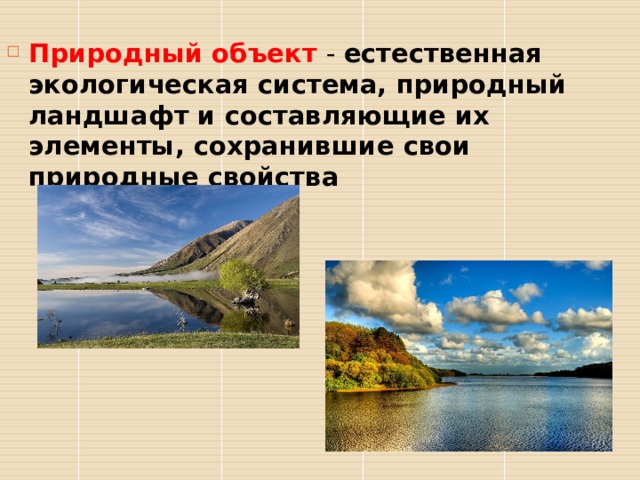 Природный объект это естественная экологическая система
