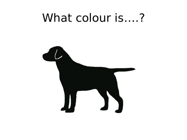 What colour is….? 