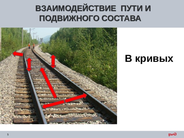 Кривые участки ЖД пути. Понятие взаимодействие пути и подвижного состава. )Нормы содержания пути по ширине колеи в кривых участках пути.. Отклонение в Кривом участке пути.