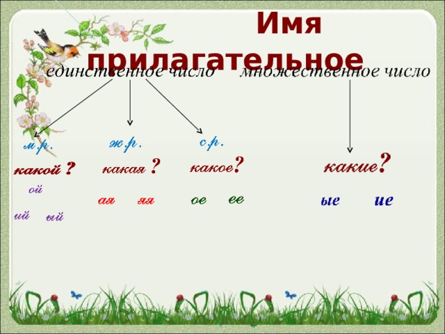 Русский язык прилагательное 2