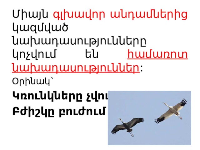 Միայն գլխավոր անդամներից կազմված նախադասությունները կոչվում են համառոտ նախադասություններ : Օրինակ` Կռունկները չվում են: Բժիշկը բուժում է:  
