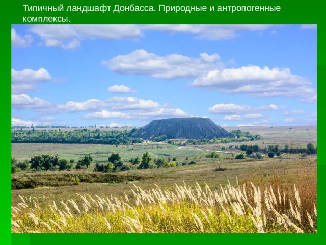 Типичный ландшафт Донбасса. Природные и антропогенные комплексы. 