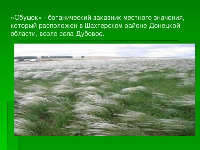 «Обушок» - ботанический заказник местного значения, который расположен в Шахтерском районе Донецкой области, возле села Дубовое. 