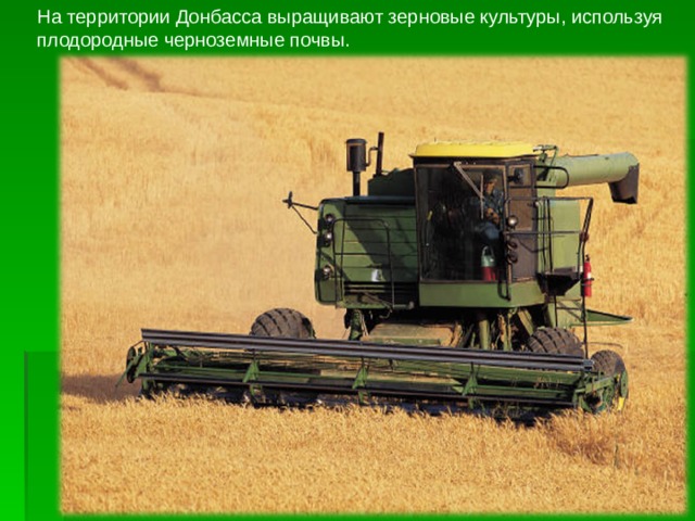 На территории Донбасса выращивают зерновые культуры, используя плодородные черноземные почвы. 