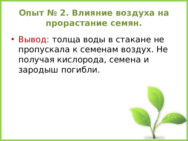 Условия прорастания семян 6 класс презентация. Влияние воздуха на прорастание семян. Как влияет воздух на прорастание семян. Пути образования и выведения семени. Для чего семянаи возлух.