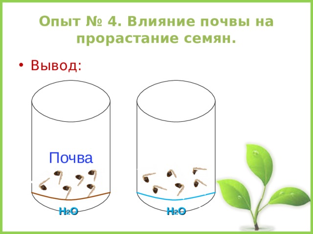 Опыт № 4. Влияние почвы на прорастание семян. Вывод: Почва Н 2 О Н 2 О 