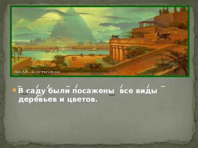 В саду были посажены все виды деревьев и цветов. 
