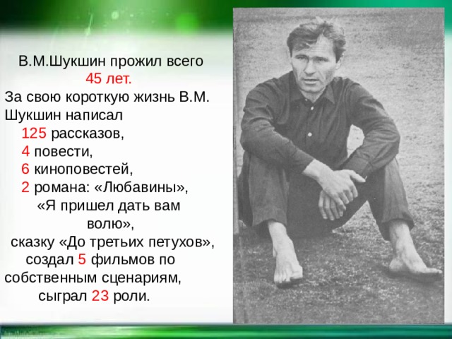 Небольшие рассказы шукшина. Шукшин презентация. Рассказ волки Шукшин. Рассказы Шукшина короткие. Рассказ Шукшина волки краткое.