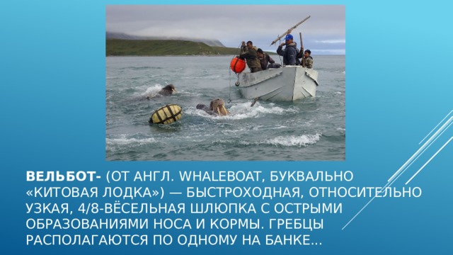 Вельбот-  (от англ. whaleboat, буквально «китовая лодка») — быстроходная, относительно узкая, 4/8-вёсельная шлюпка с острыми образованиями носа и кормы. Гребцы располагаются по одному на банке... 