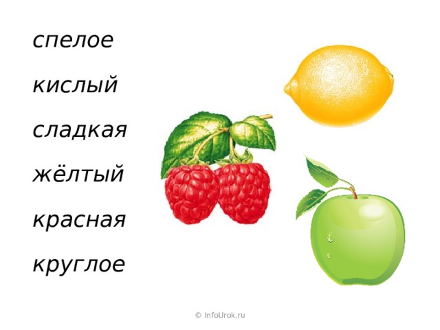 спелое кислый сладкая жёлтый красная круглое © InfoUrok.ru 