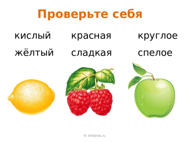 Проверьте себя кислый жёлтый красная сладкая круглое спелое © InfoUrok.ru 