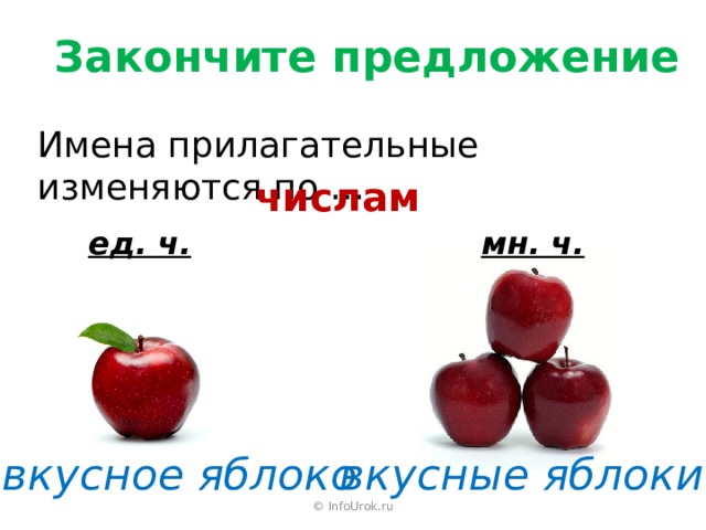 Закончите предложение Имена прилагательные изменяются по … числам ед. ч. мн. ч.  вкусное яблоко вкусные яблоки © InfoUrok.ru 