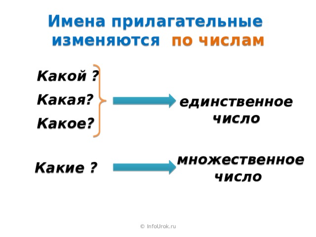 Имена прилагательные  изменяются по числам  Какой ?  Какая?  Какое? единственное число множественное число Какие ?  © InfoUrok.ru 