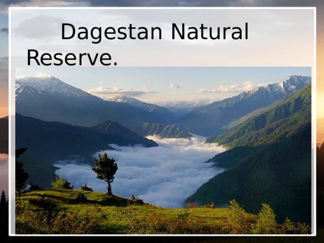     Dagestan Natural Reserve. 