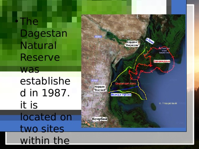 The Dagestan Natural Reserve was established in 1987. it is located on two sites within the Tarumovsky and Buinaksky districts. Вставка рисунка 