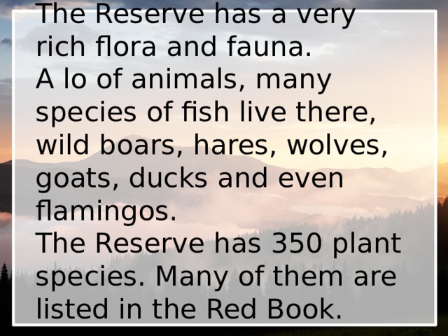 The Reserve has a very rich flora and fauna.  A lo of animals, many species of fish live there, wild boars, hares, wolves, goats, ducks and even flamingos.  The Reserve has 350 plant species. Many of them are listed in the Red Book. 