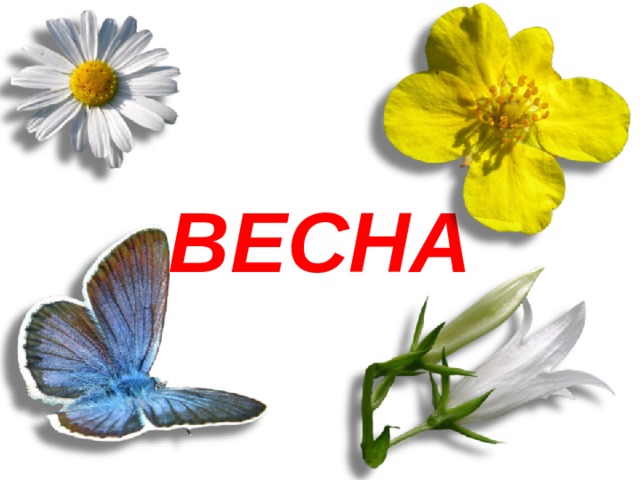 ВЕСНА 