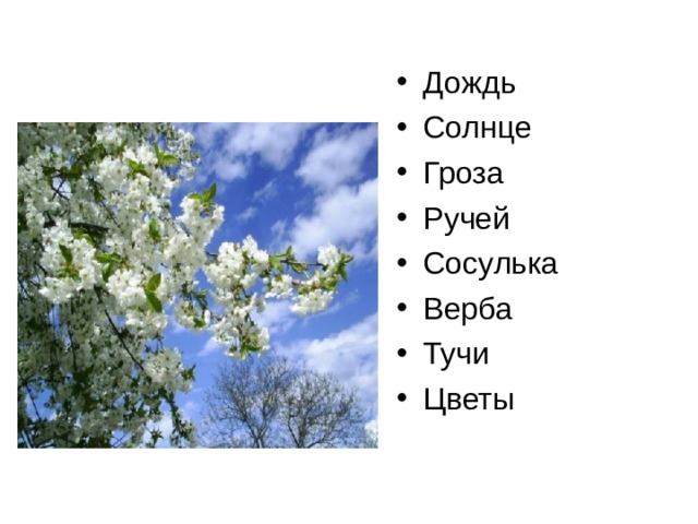 Дождь Солнце Гроза Ручей Сосулька Верба Тучи Цветы 