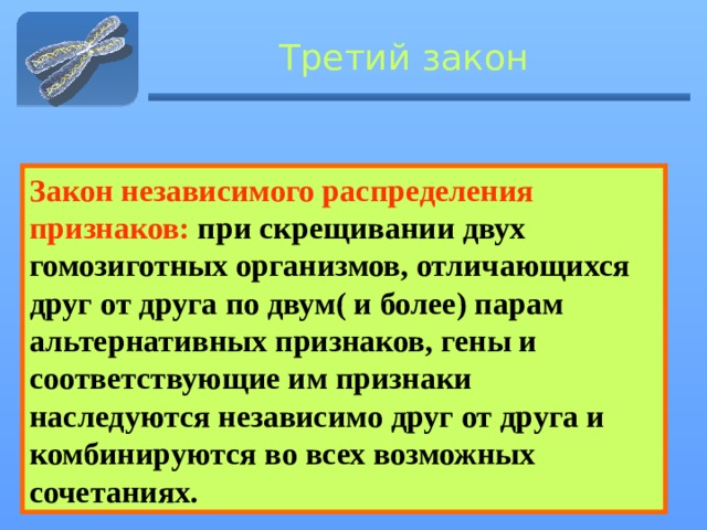  Третий закон Закон независимого распределения признаков: при скрещивании двух гомозиготных организмов, отличающихся друг от друга по двум( и более) парам альтернативных признаков, гены и соответствующие им признаки наследуются независимо друг от друга и комбинируются во всех возможных сочетаниях. 