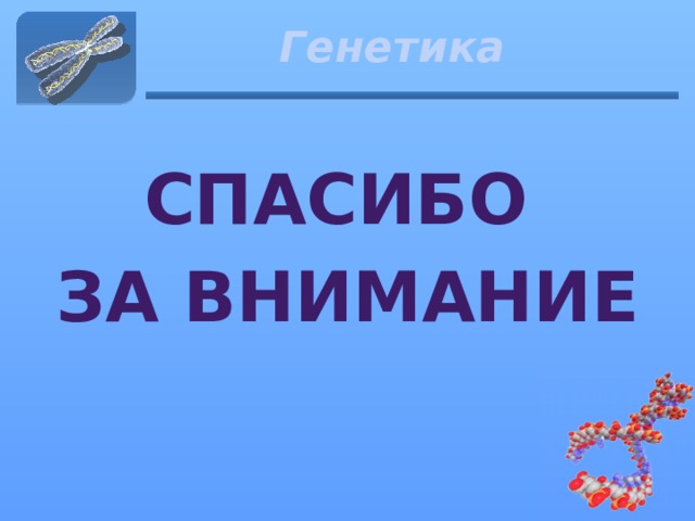 Генетика Спасибо за внимание 