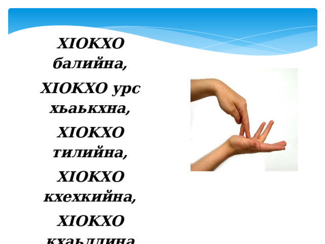 XIOKXO балийна, XIOKXO урс хьаькхна, XIOKXO тилийна, XIOKXO кхехкийна, XIOKXO кхаьллина Д1абахийтина. 