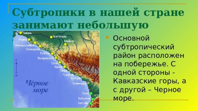 Субтропики в нашей стране занимают небольшую площадь Основной субтропический район расположен на побережье. С одной стороны - Кавказские горы, а с другой – Черное море. 