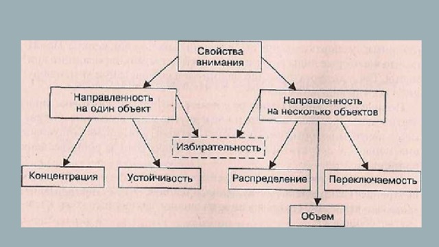 Характеристика внимания избирательность психической деятельности. Свойства внимания. Свойства внимания направленность. Примеры направленности внимания. Свойства внимания избирательность.