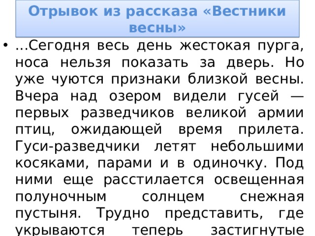 Отрывок из рассказа «Вестники весны» ...Сегодня весь день жестокая пурга, носа нельзя показать за дверь. Но уже чуются признаки близкой весны. Вчера над озером видели гусей — первых разведчиков великой армии птиц, ожидающей время прилета. Гуси-разведчики летят небольшими косяками, парами и в одиночку. Под ними еще расстилается освещенная полуночным солнцем снежная пустыня. Трудно представить, где укрываются теперь застигнутые пургою, быть может обреченные на гибель, крылатые смелые вестники весны…   