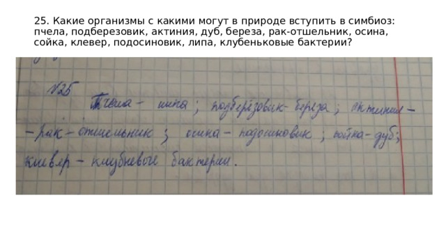 25. Какие организмы с какими могут в природе вступить в симбиоз: пчела, подберезовик, актиния, дуб, береза, рак-отшельник, осина, сойка, клевер, подосиновик, липа, клубеньковые бактерии?   