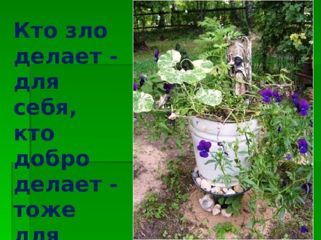 Кто зло делает - для себя, кто добро делает - тоже для себя. (абхазская пословица)  Изображение с сайта http://foto.mail.ru/  