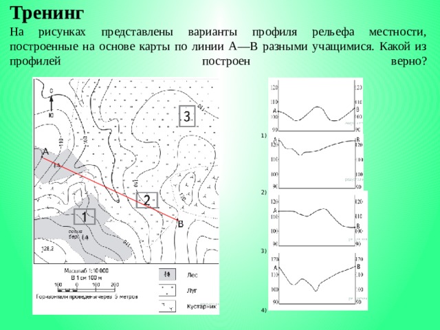 Тренинг   На рисунках представлены варианты профиля рельефа местности, построенные на основе карты по линии А—В разными учащимися. Какой из профилей построен верно?     1)          2)          3)          4)          