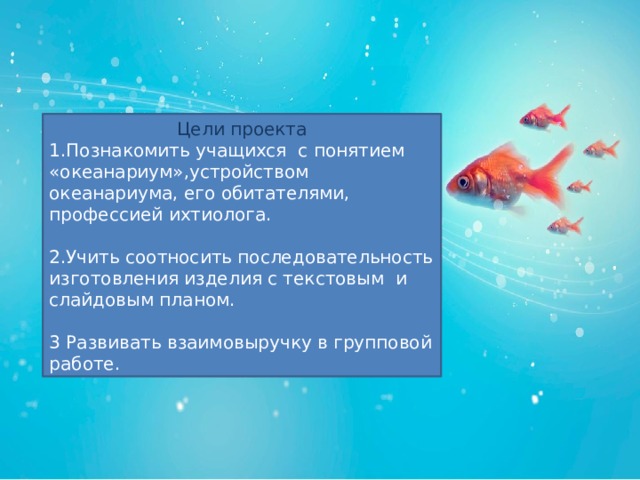 Что можно увидеть в океанариуме 3 класс. Смотреть фото Что можно увидеть в океанариуме 3 класс. Смотреть картинку Что можно увидеть в океанариуме 3 класс. Картинка про Что можно увидеть в океанариуме 3 класс. Фото Что можно увидеть в океанариуме 3 класс