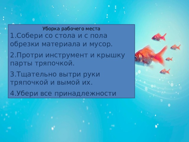 Что можно увидеть в океанариуме 3 класс. Смотреть фото Что можно увидеть в океанариуме 3 класс. Смотреть картинку Что можно увидеть в океанариуме 3 класс. Картинка про Что можно увидеть в океанариуме 3 класс. Фото Что можно увидеть в океанариуме 3 класс