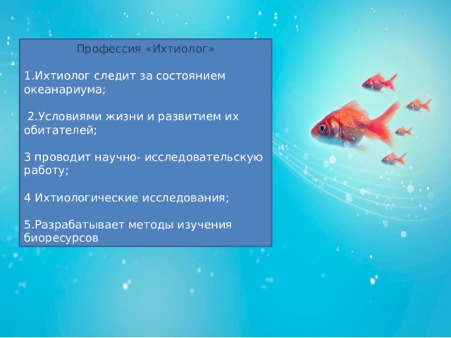Что можно увидеть в океанариуме 3 класс. Смотреть фото Что можно увидеть в океанариуме 3 класс. Смотреть картинку Что можно увидеть в океанариуме 3 класс. Картинка про Что можно увидеть в океанариуме 3 класс. Фото Что можно увидеть в океанариуме 3 класс