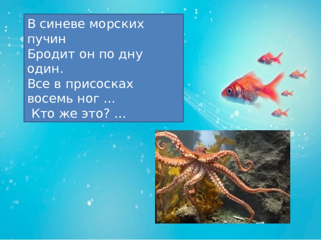 Что можно увидеть в океанариуме 3 класс. Смотреть фото Что можно увидеть в океанариуме 3 класс. Смотреть картинку Что можно увидеть в океанариуме 3 класс. Картинка про Что можно увидеть в океанариуме 3 класс. Фото Что можно увидеть в океанариуме 3 класс