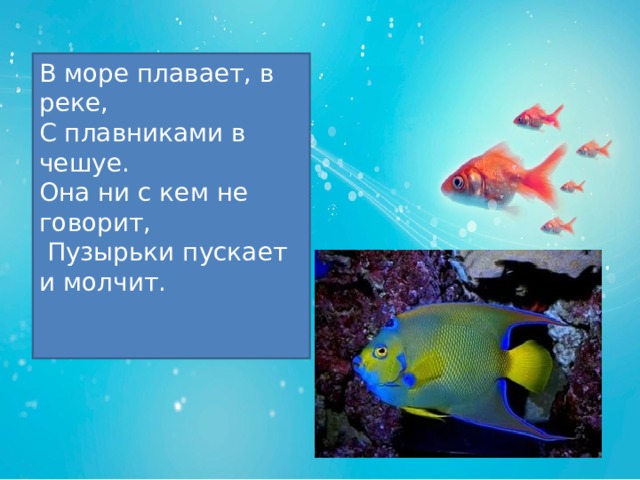 Что можно увидеть в океанариуме 3 класс. Смотреть фото Что можно увидеть в океанариуме 3 класс. Смотреть картинку Что можно увидеть в океанариуме 3 класс. Картинка про Что можно увидеть в океанариуме 3 класс. Фото Что можно увидеть в океанариуме 3 класс