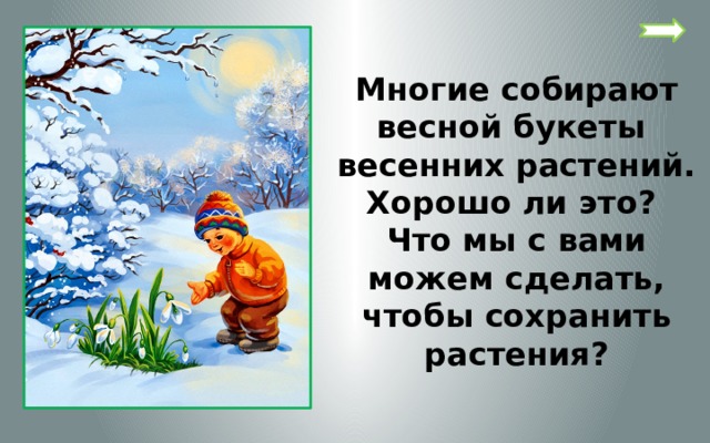 Многие собирают весной букеты весенних растений. Хорошо ли это? Что мы с вами можем сделать, чтобы сохранить растения? 