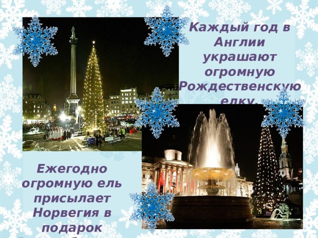 Каждый год в Англии украшают огромную Рождественскую елку. Ежегодно огромную ель присылает Норвегия в подарок Великобритании на Рождество. 