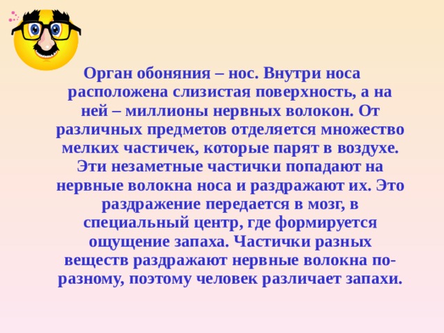 Почему человек это проект Обоняние и вкус