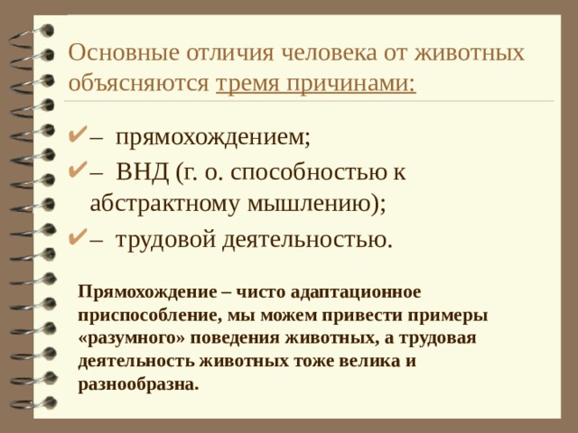 Основные отличия человека от животных объясняются  тремя причинами: –  прямохождением; –  ВНД (г. о. способностью к абстрактному мышлению); –  трудовой деятельностью. Прямохождение – чисто адаптационное приспособление, мы можем привести примеры «разумного» поведения животных, а трудовая деятельность животных тоже велика и разнообразна. 