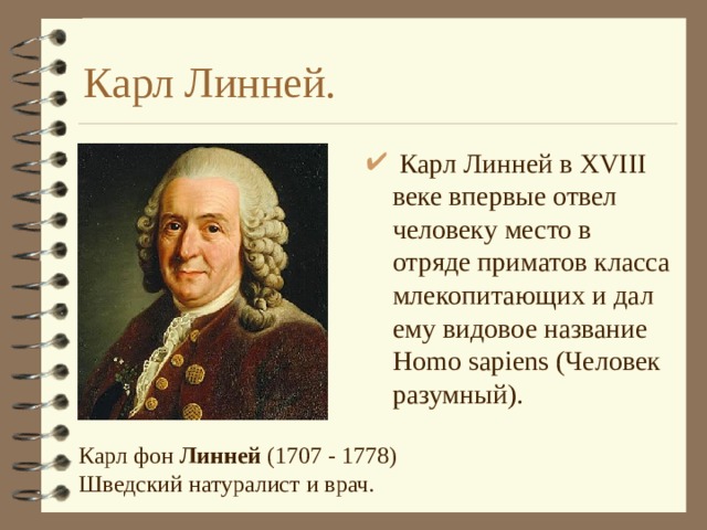 Карл Линней.  Карл Линней в XVIII веке впервые отвел человеку место в отряде приматов класса млекопитающих и дал ему видовое название Homo sapiens (Человек разумный). Карл фон  Линней  (1707 - 1778) Шведский натуралист и врач. 