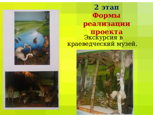 2 этап  Формы реализации проекта  Экскурсия в краеведческий музей.   