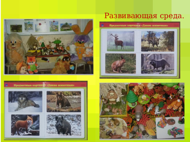 Развивающая среда. 