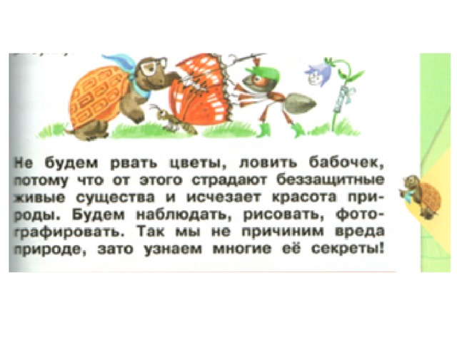 Почему не будем рвать цветы и ловить бабочек презентация 1 класс школа россии