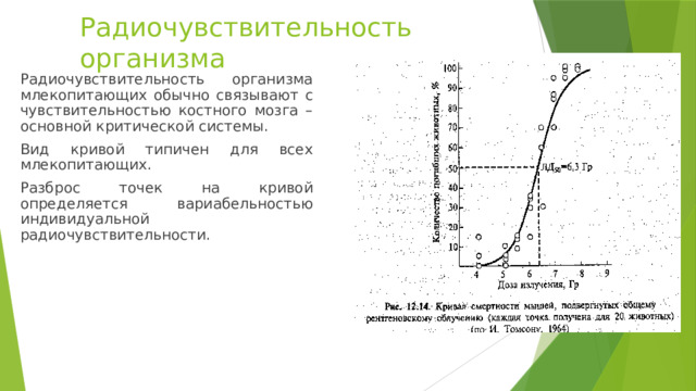 Радиочувствительность организма Радиочувствительность организма млекопитающих обычно связывают с чувствительностью костного мозга – основной критической системы. Вид кривой типичен для всех млекопитающих. Разброс точек на кривой определяется вариабельностью индивидуальной радиочувствительности. 